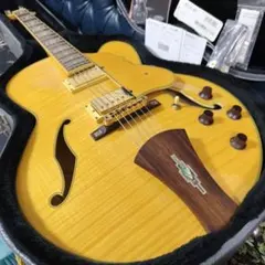 Ibanez ARZ400 GOLD Full COVERD カスタム 24F - メルカリ