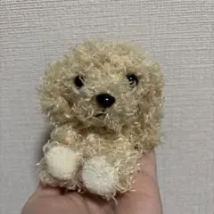 こんぺいとう様】シロフクロウさん ＆ 恐竜さんの着ぐるみコスチューム