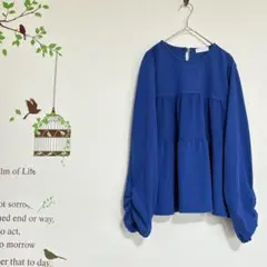 jayro motomachi /起毛長袖ティアードトップス 袖シャーリング