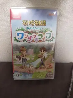 Welcome! ワンダフルライフ Nintendo Switch