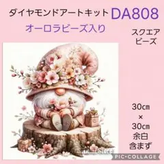 DA808★ダイヤモンドアートキット★スクエアビーズ★オーロラビーズ入り
