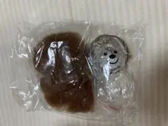 けだまだま　ウェスティ