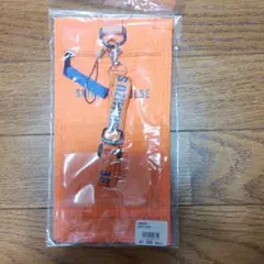 清水エスパルス　チケットホルダーのサムネイル
