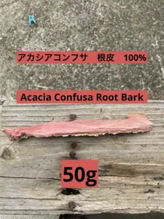 Item thumbnail for item eb8db753-d68b-419f-951b-6a238c96fec1