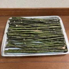 Item thumbnail for item 3557df3d-3874-4ff6-820a-6667423686ba