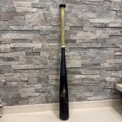 Item thumbnail for item a5506957-ad70-4bc1-a001-5c769badfe7c