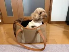 Item thumbnail for item 2e31858f-5336-4df2-ac92-cc74461f688d