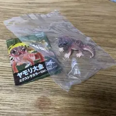 海洋堂 ヤモリ大全 エクストラカラーVer. ガチャ