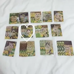 専用