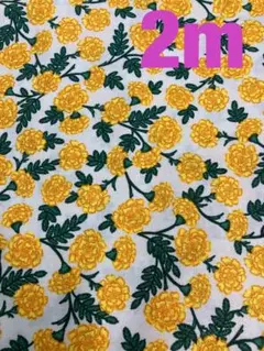 Rifle Paper Co. Bramble Collection 生地 2m