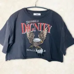 ✨WEGO✨ウィゴー イーグルグラフィック クロップドTシャツ S
