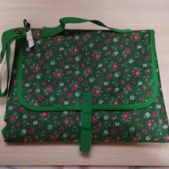 Item thumbnail for item 2325a741-91d9-4e89-8cbe-cdbf4d115f0c