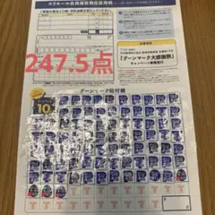 グーン　ポイント　247.5点分