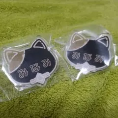 棗巳波　ネームバッジ　ナンジャタウン