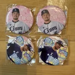 埼玉西武ライオンズ 本田圭佑