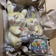 30周年記念ぬいぐるみ、マスコットピカピカ！ピカチュウとアクリルキーホルダー