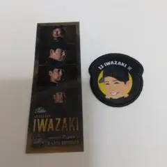 阪神タイガース　岩崎優　ガラコロ　ワッペン　フォトグレイ