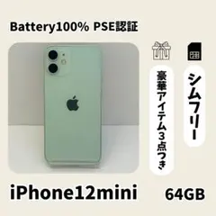 ❤️美品❤️iPhone 12 mini 64GB グリーン SIMフリー 本体