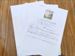 Item thumbnail for item 868fa668-5cf8-4d43-83d9-0cb7c2d675ab