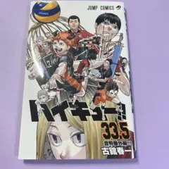 ハイキュー 33.5 音駒番外編