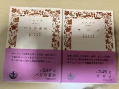 パリの憂鬱　サロメ