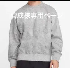 菅成様専用Nike ナイキフォワード　Tech Packグレートレーナー