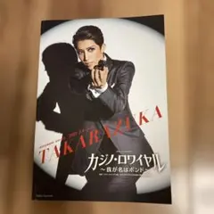 宝塚パンフレット3冊