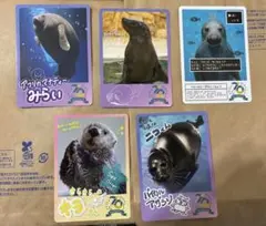 鳥羽水族館 コレクションカード