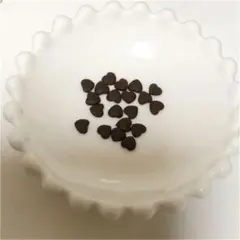 ハートのチョコチップ　20個入り