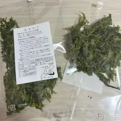미개봉 이세시마산 푸른 미역 (바다 양상추)