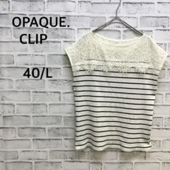 OPAQUE.CLIP　半袖ニット　レース切替ボーダー　クリーム　40　L