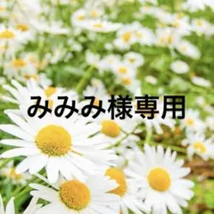 みみみ様専用ページ