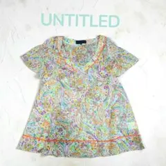 【日本製】アンタイトル　シアーシフォンブラウス　ペイズリー柄　Vネック