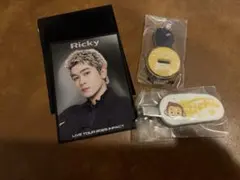 BALLISTIK BOYZ トレカ　ガチャ　ミニアクスタ　前髪クリップ