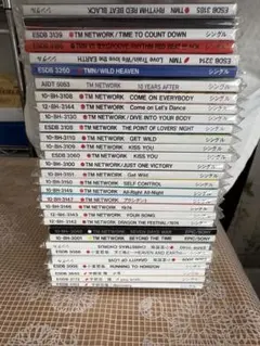 TM NETWORK・小室哲哉・宇都宮隆 ミニシングルCD 32枚セット