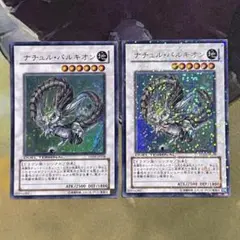 ナチュルパルキオン dt ウルトラ 2枚