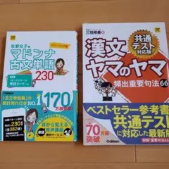 マドンナ古文単語230 パワーアップ版 漢文ヤマのヤマ　2冊セット