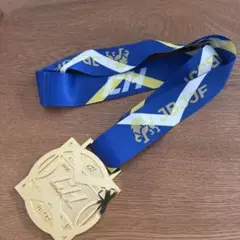 JBJJF 金メダル ブラジリアン柔術