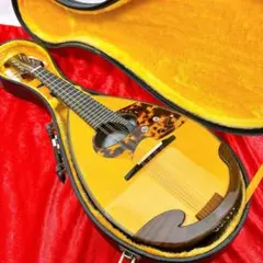 2025年最新】石川マンドリンの人気アイテム - メルカリ