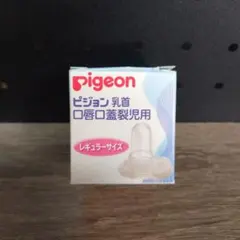 Item thumbnail for item 9b9597b9-b50a-49f7-8574-610b607ca429