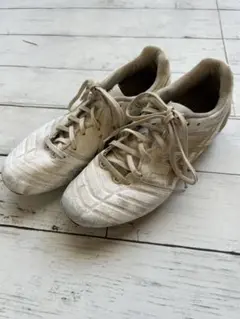 アシックス DS Light サッカースパイク22.5cm