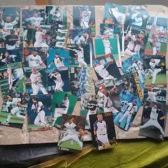 プロ野球チップスのカード 37枚