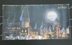 ハリーポッターTCG プレミアム決闘 ホグワーツ魔法魔術学校プレイ