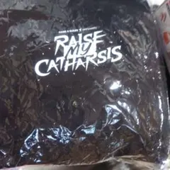 RAISE A SUILEN＆トゲナシドゲアリ　Tシャツ
