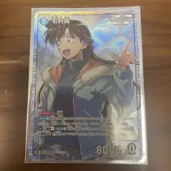 名探偵コナン トレーディングカード 江戸川コナン 毛利蘭 SR 2点セット