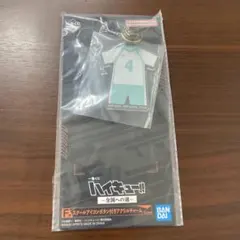 一番くじ ハイキュー!! 全国への道 Ｆ賞 岩泉