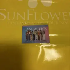 No.375 FANTASTICS SUN FLOWER 会場ガチャステッカー