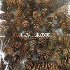 ワンタン様 リクエスト 5点 まとめ商品