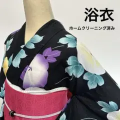 【美品】 浴衣 半幅帯 セット 朝顔 レディース ブラックのサムネイル