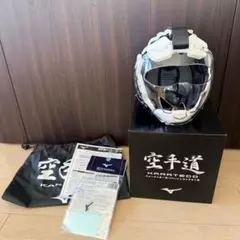 Item thumbnail for item d5a2c3ed-74bb-49a8-976e-bad7f8fe6bf7